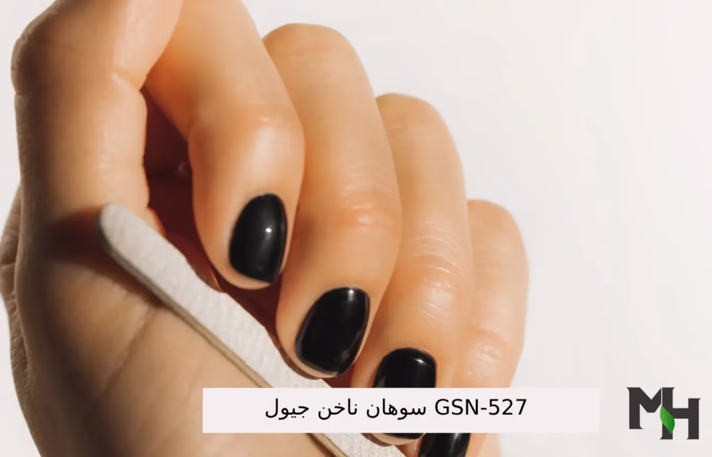 معرفی سوهان ناخن GSN-527 جیول | ابزاری کاربردی برای زیبایی و سلامت ناخن‌ها